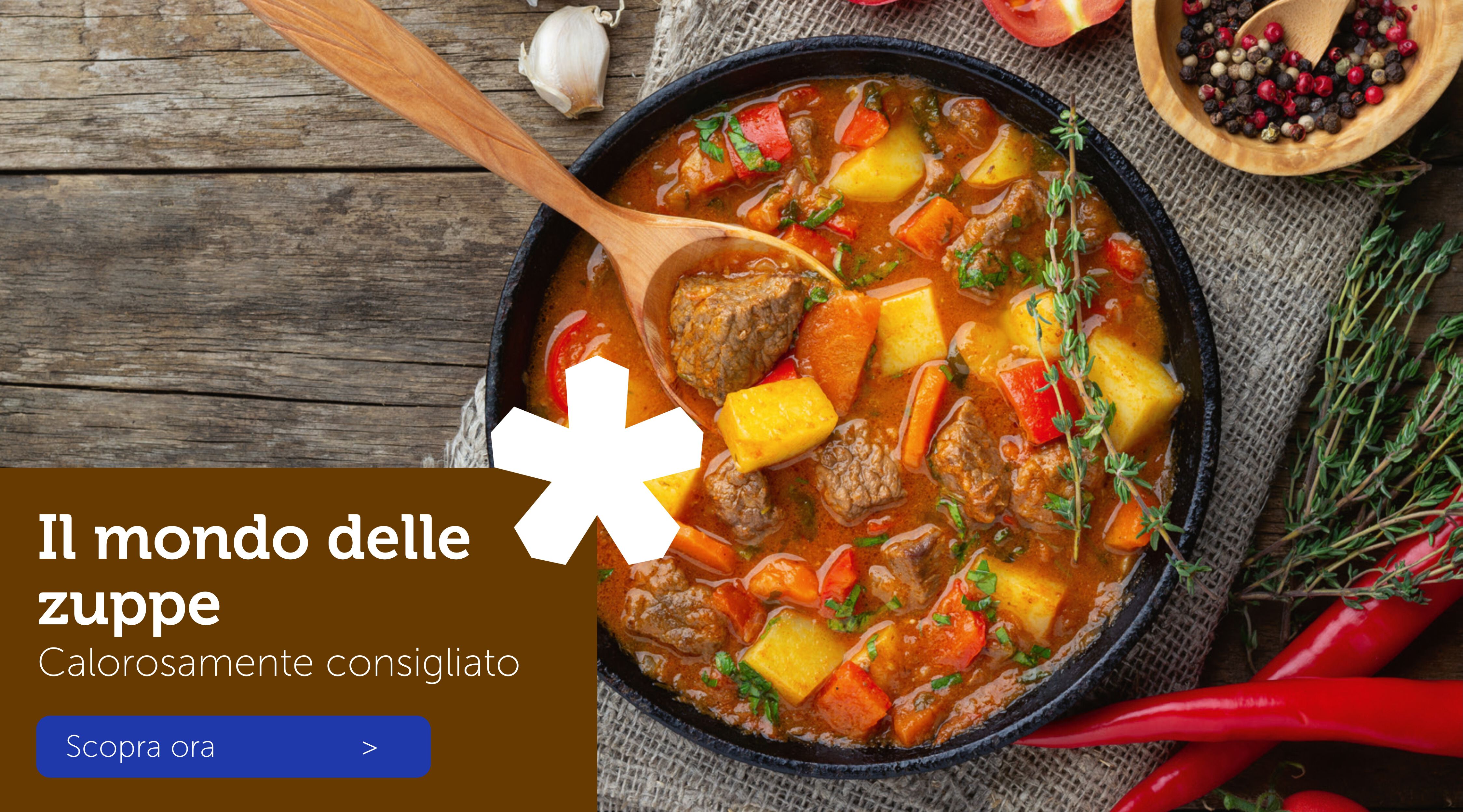 Il mondo delle zuppe